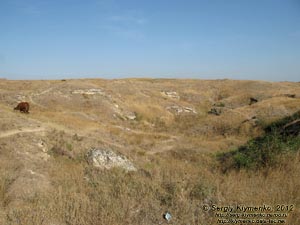 Крым, Керчь. Фото. Мемориальный ансамбль «Героям Аджимушкая». Поверхность над каменоломнями.