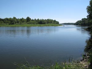Киевская область. Фото. Вид Десны немного выше села Пирново (Вышгородский район).