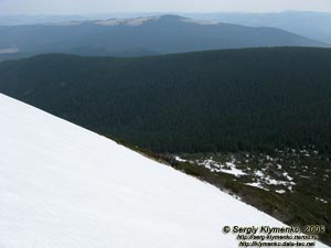 Фото Карпат. По дороге к Говерле. Всё выше и выше.