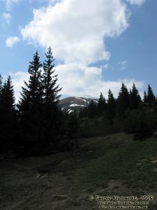 Фото Карпат. Вид на Говерлу снизу.