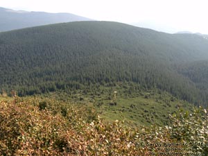 Фото Карпат. «Зелёным» маршрутом к Говерле. Всё выше и выше.
