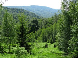 Ивано-Франковская область. Карпатские пейзажи.