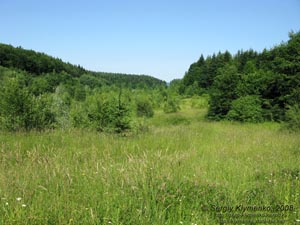 Ивано-Франковская область. Карпатские пейзажи. Урочище Насарат.
