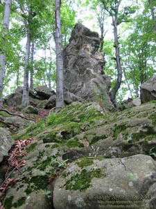 Ивано-Франковская область. Карпаты. В лесу на горе - «скала Довбуша».