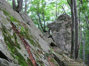 Ивано-Франковская область. Карпаты. На «скалах Довбуша».