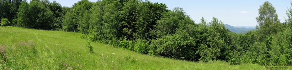 Ивано-Франковская область. Карпатские пейзажи (неподалеку от Яблунова).