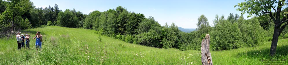 Ивано-Франковская область. Карпатские пейзажи (неподалеку от Яблунова).