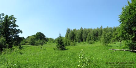 Ивано-Франковская область. Карпатские пейзажи. Горная долина Скильч.