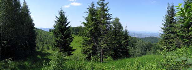 Ивано-Франковская область. Карпатские пейзажи.