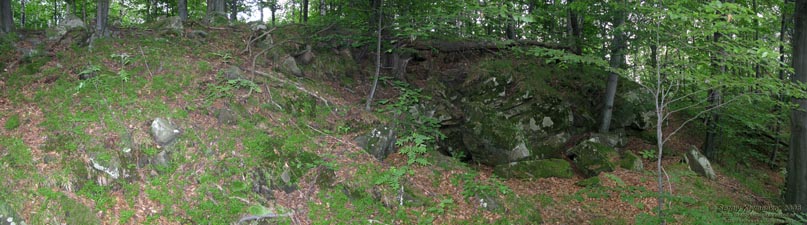 Ивано-Франковская область. В лесу на горе (неподалеку от Яблунова).