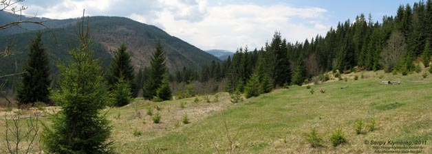 Фото Карпат. Горный пейзаж по дороге к полонине «Веснарка».