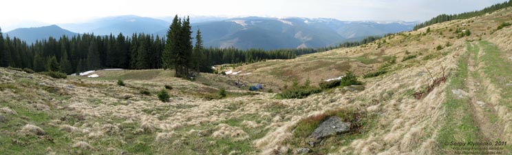 Фото Карпат. Вид на полонину «Веснарка» сверху (48°01'33"N, 24°39'38"E). Панорама ~100°.