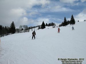 Закарпатская область, горнолыжный курорт Изки. Фото. На горных склонах.