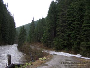 Фото Карпат, речка Черный Черемош. Карпатский пейзаж выше селения Буркут.