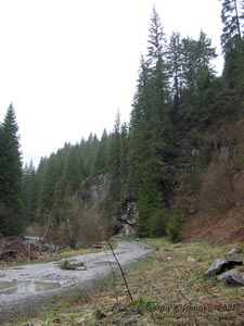 Фото Карпат, речка Черный Черемош. Пейзаж выше селения Буркут.