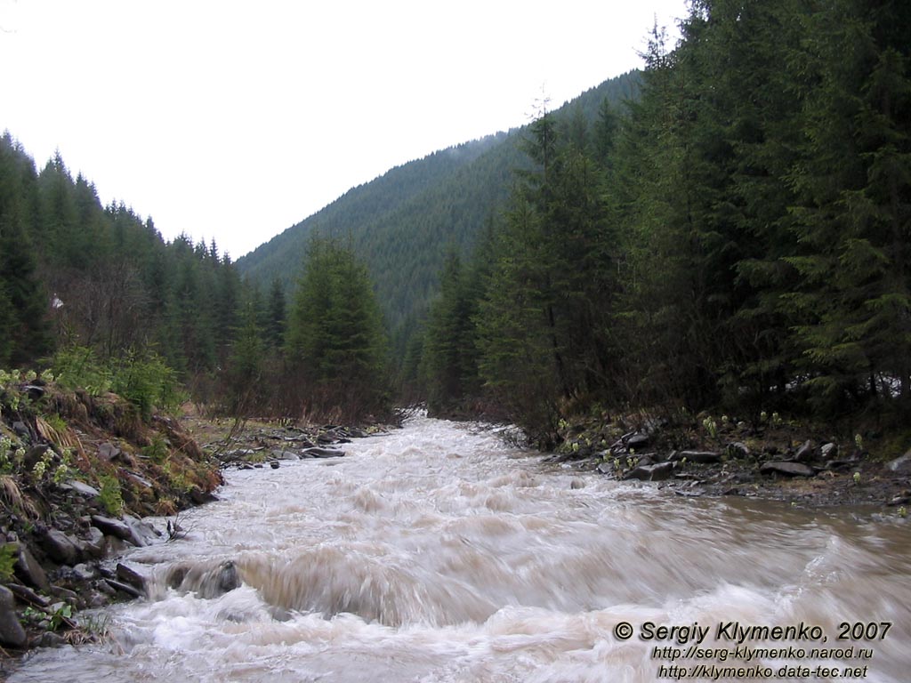 Фото Карпат, Альбин - приток Черного Черемоша. Устье ручья Альбин.