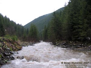 Фото Карпат, Альбин - приток Черного Черемоша. Устье потока Альбин.