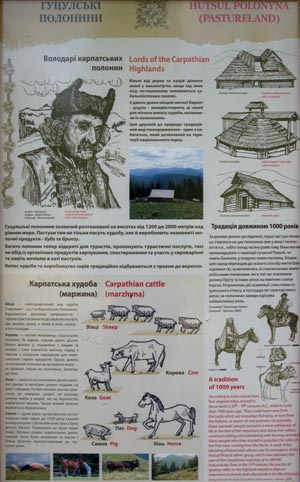 Фото Карпат, Ивано-Франковская область. К озеру «Несамовите». Информация о Гуцульских полонинах.