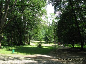 Закарпатская область. Охотничий дворец графов Шенборнов. Фото. В парке.