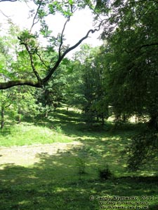 Закарпатская область. Охотничий дворец графов Шенборнов. Фото. В парке.