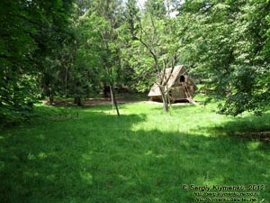 Закарпатская область. Охотничий дворец графов Шенборнов. Фото. В парке.