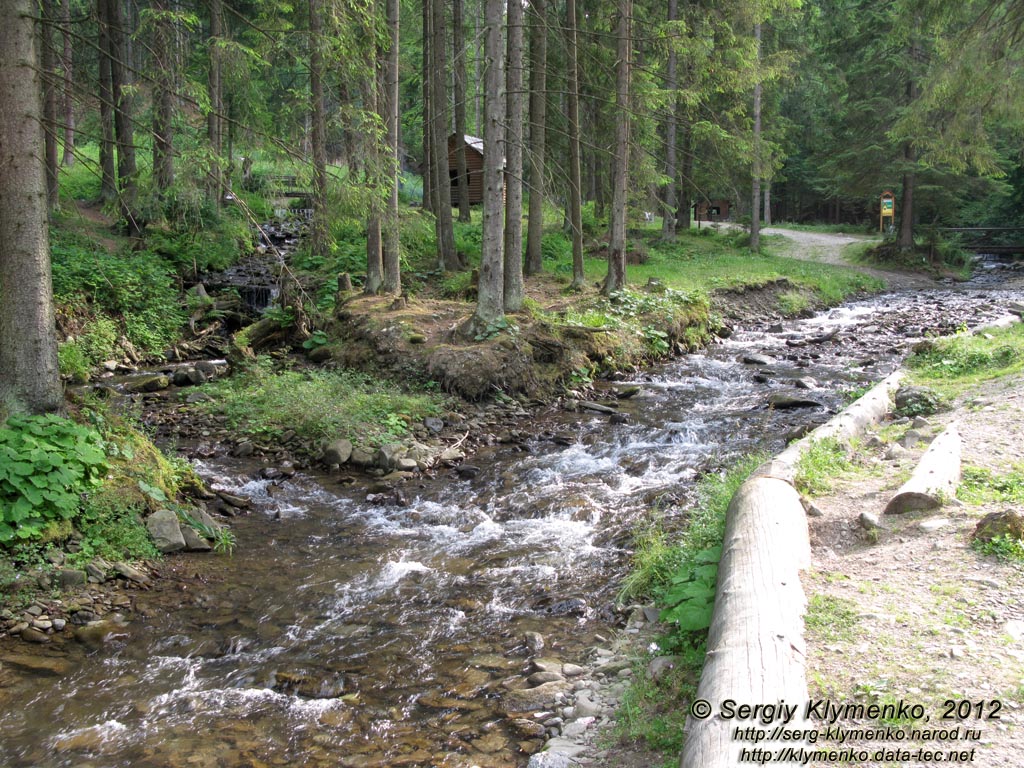 Карпаты. Закарпатская область. Фото. Речка Пилипец ниже водопада Шипот.