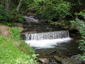 Карпаты. Закарпатская область. Фото. Речка Пилипец ниже водопада Шипот.