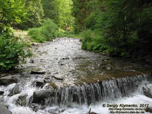 Карпаты. Закарпатская область. Фото. Речка Пилипец ниже водопада Шипот.