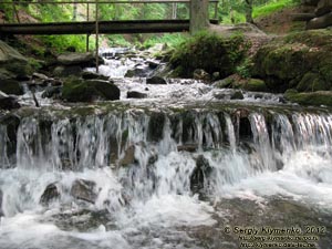 Карпаты. Закарпатская область. Фото. Речка Пилипец ниже водопада Шипот.