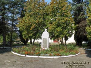 Волынская область, село Колодежно. Фото. Памятник Лесе Украинке в селе.