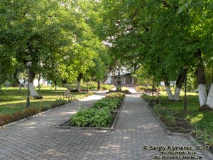 Волынская область, село Колодежно. Фото. Музей-усадьба Леси Украинки. Центральная аллея.