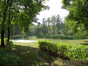 Волынская область, село Колодежно. Фото. Музей-усадьба Леси Украинки. Парк и пруд рядом с усадьбой.