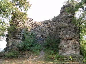 Закарпатская область, посёлок Королёво. Фото. Замок Нялаб. Руины сторожевой башни килеобразной в плане формы (48°09'27"N, 23°07'58"E).