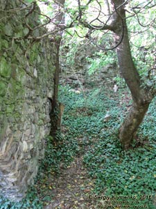 Закарпатская область, посёлок Королёво. Фото. Замок Нялаб (48°09'32"N, 23°07'54"E). Сохранившиеся фрагменты замковых укреплений.