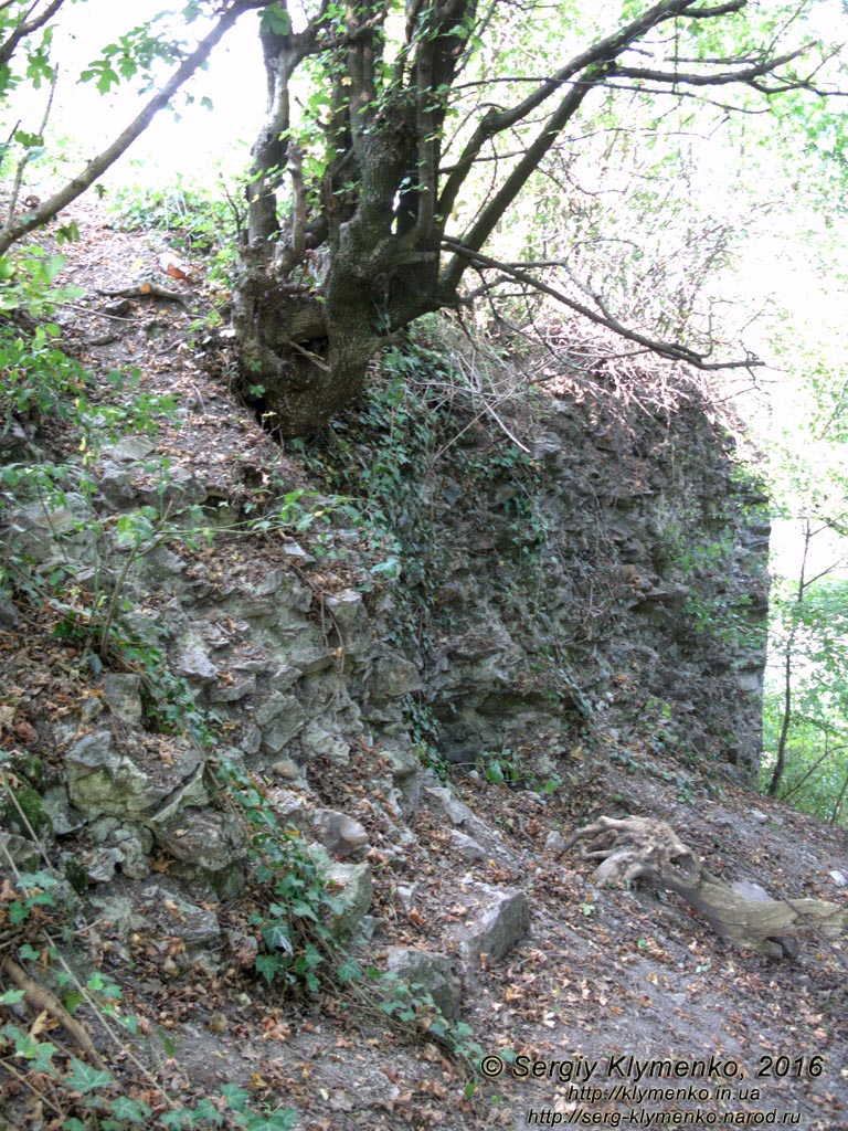 Закарпатская область, посёлок Королёво. Фото. Замок Нялаб (48°09'32"N, 23°07'54"E). Сохранившиеся фрагменты замковых укреплений.