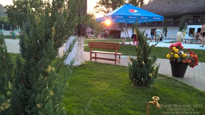 Закарпатская область. Фото. Оздоровительно-рекреационный комплекс «Термальные воды Косино». Закат солнца и паутина на кустах можжевельника.