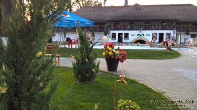 Закарпатская область. Фото. Оздоровительно-рекреационный комплекс «Термальные воды Косино». Вечер, паутина на кустах можжевельника.