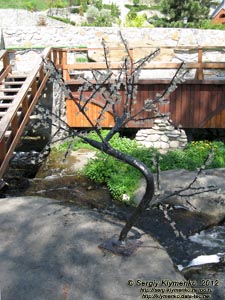 Киевская область, село Буки. Фото. Ландшафтный парк «Буки».