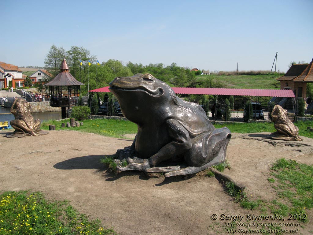 Киевская область, село Буки. Фото. Ландшафтный парк «Буки». Гигантская лягушка.