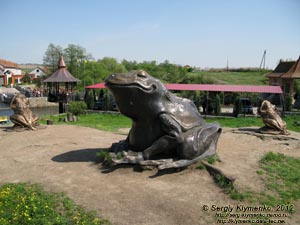 Киевская область, село Буки. Фото. Ландшафтный парк «Буки». Гигантская лягушка.