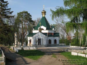 Киевская область, Фастовский район. Село Томашовка. Фото. Бывшая усадьба Хоецких, в парке.