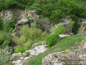 Черкасская область. Посёлок Буки. Фото. Букский каньон на речке Горный Тикич. Вид сверху.