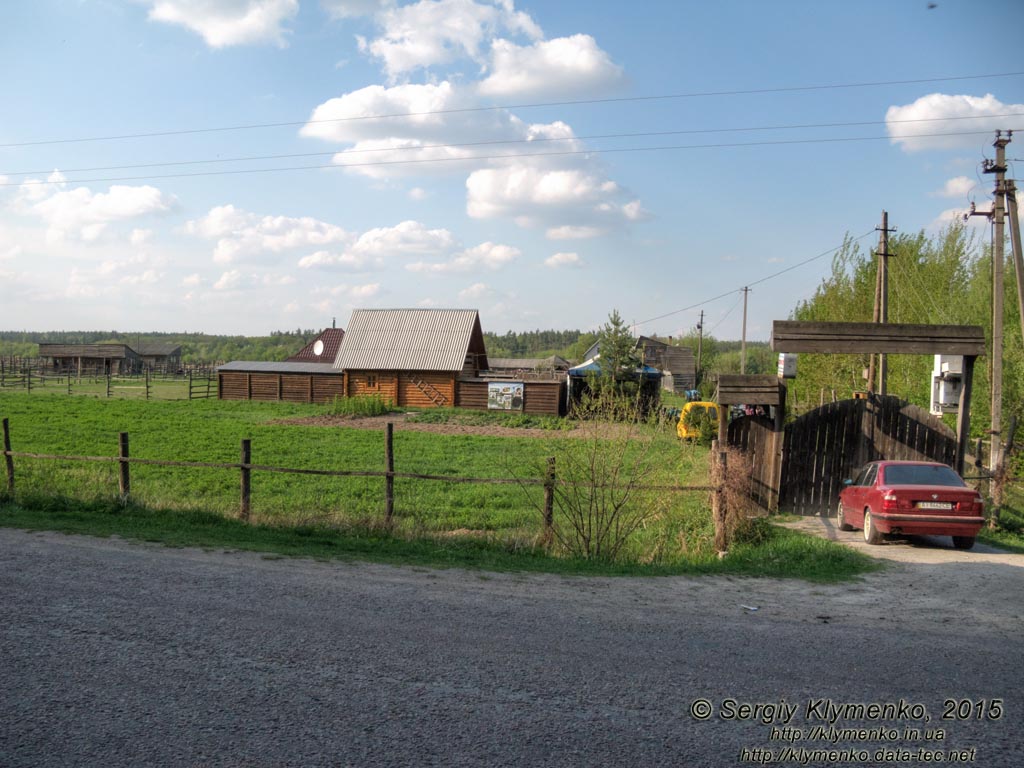 Киевская область. Село Синява. Фото. Страусиная ферма и зоопарк возле села Синява (49°38'60"N, 30°32'25"E).
