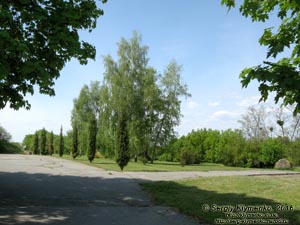 Киевская область. Село Балыко-Щучинка. Фото. На холме над Днепром. Аллея к городищу летописного города Чучин (XI-XIII века) и ансамблю мемориального комплекса «Букринский плацдарм».