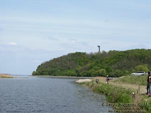 Киевская область. Село Балыко-Щучинка. Фото. Вид с берега Днепра на холм, где расположено городище летописного города Чучин (XI-XIII века),
а также - Национальный музей-мемориальный комплекс «Букринский плацдарм».