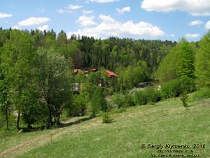 Закарпатская область, возле села Нижний Студёный. Фото. Один из спусков к озеру Хащованское («Озеро Вита»).
