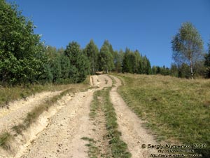 Фото Карпат, Ивано-Франковская область. Яремче. По дороге на гору Маковица.