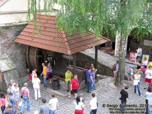 Закарпатская область. Мукачево. Фото. Замок «Паланок» (Palanok). Верхний замок. Вид сверху на замковый колодец.