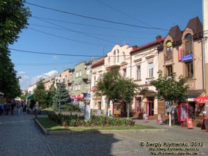 Закарпатская область. Мукачево. Фото. Улица Пушкина.