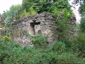 Ивано-Франковская область, город Надворная. Фото. Руины круглой каменной башни - «Малого замка» (48°37'59.50"N, 24°34'24.90"E), вид снаружи.